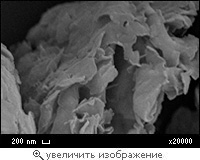 Structure of aglomerates of bentonite clay