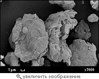 Structure of aglomerates of bentonite clay