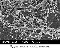 Fractionated microwollastonite MIWOLL® MW-10-97